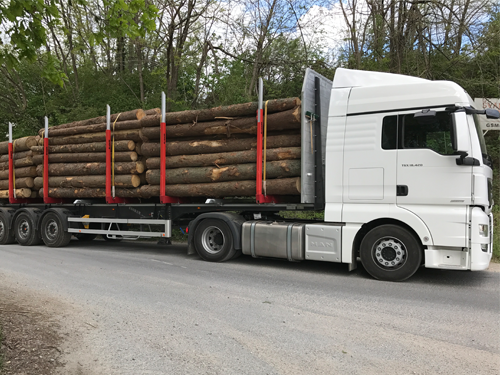Tovorno vozilo za prevoz lesa